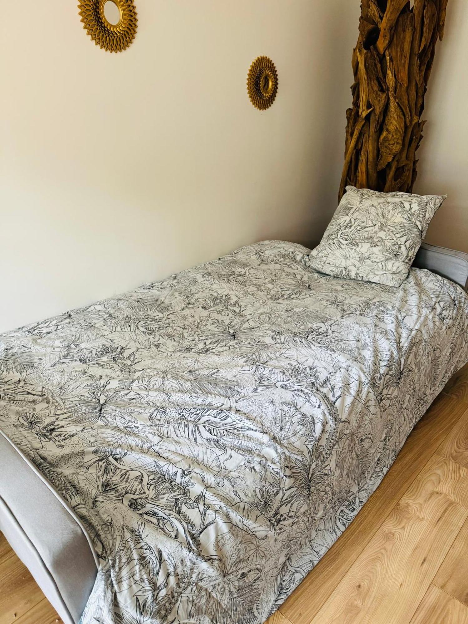 Bel Appartement Proche Parc & Lac 雷恩 外观 照片